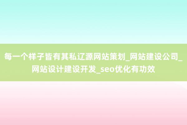 每一个样子皆有其私辽源网站策划_网站建设公司_网站设计建设开发_seo优化有功效