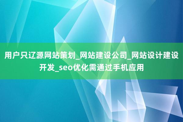 用户只辽源网站策划_网站建设公司_网站设计建设开发_seo优化需通过手机应用