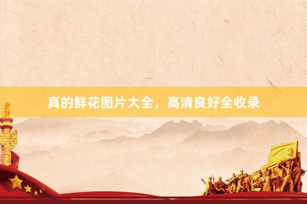 真的鲜花图片大全，高清良好全收录