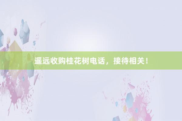 遥远收购桂花树电话,接待相关!